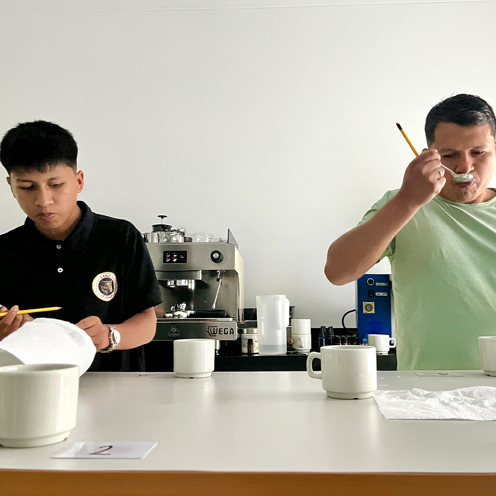 Mesa de trabajo 1 copia 2