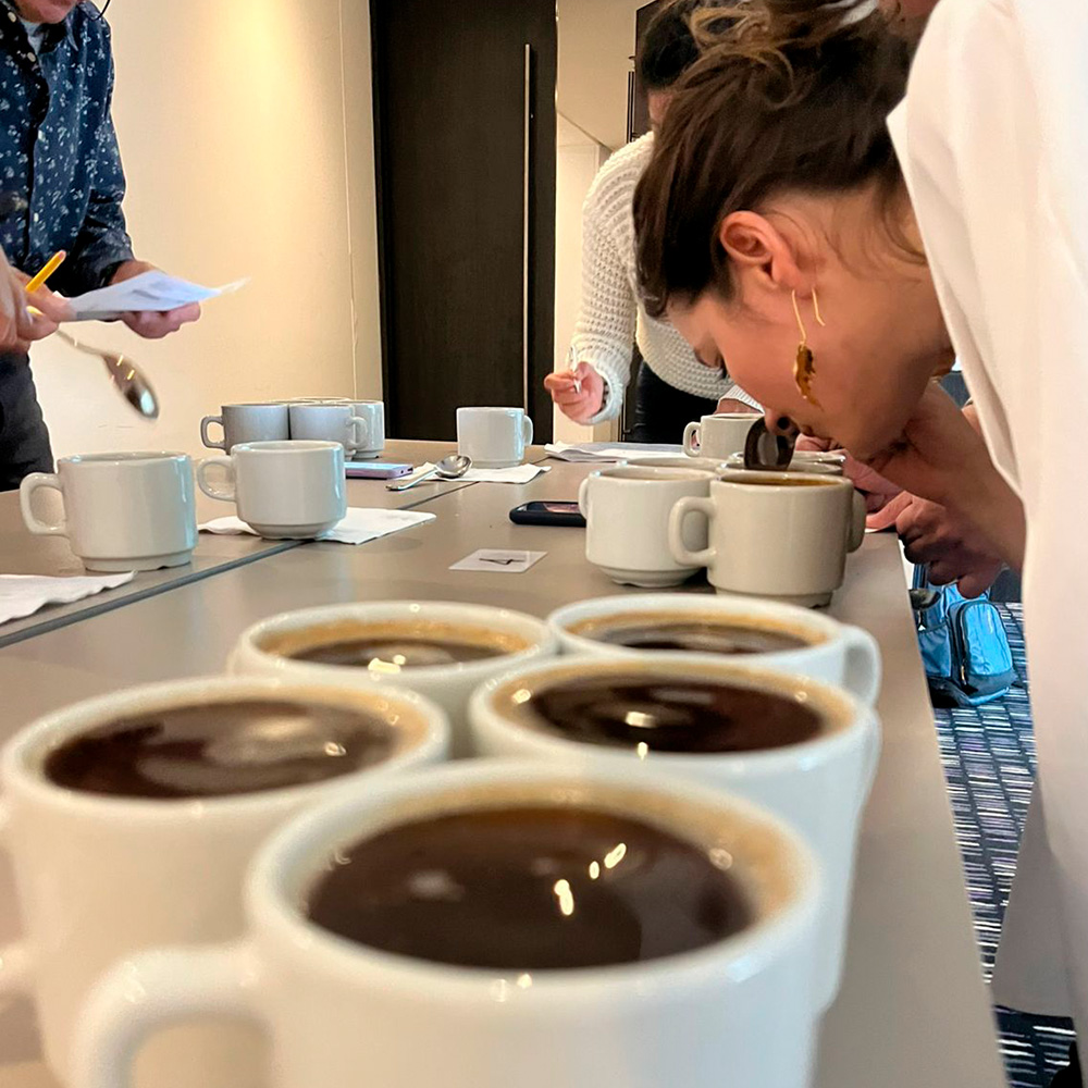 Mesa de trabajo 1 copia 4