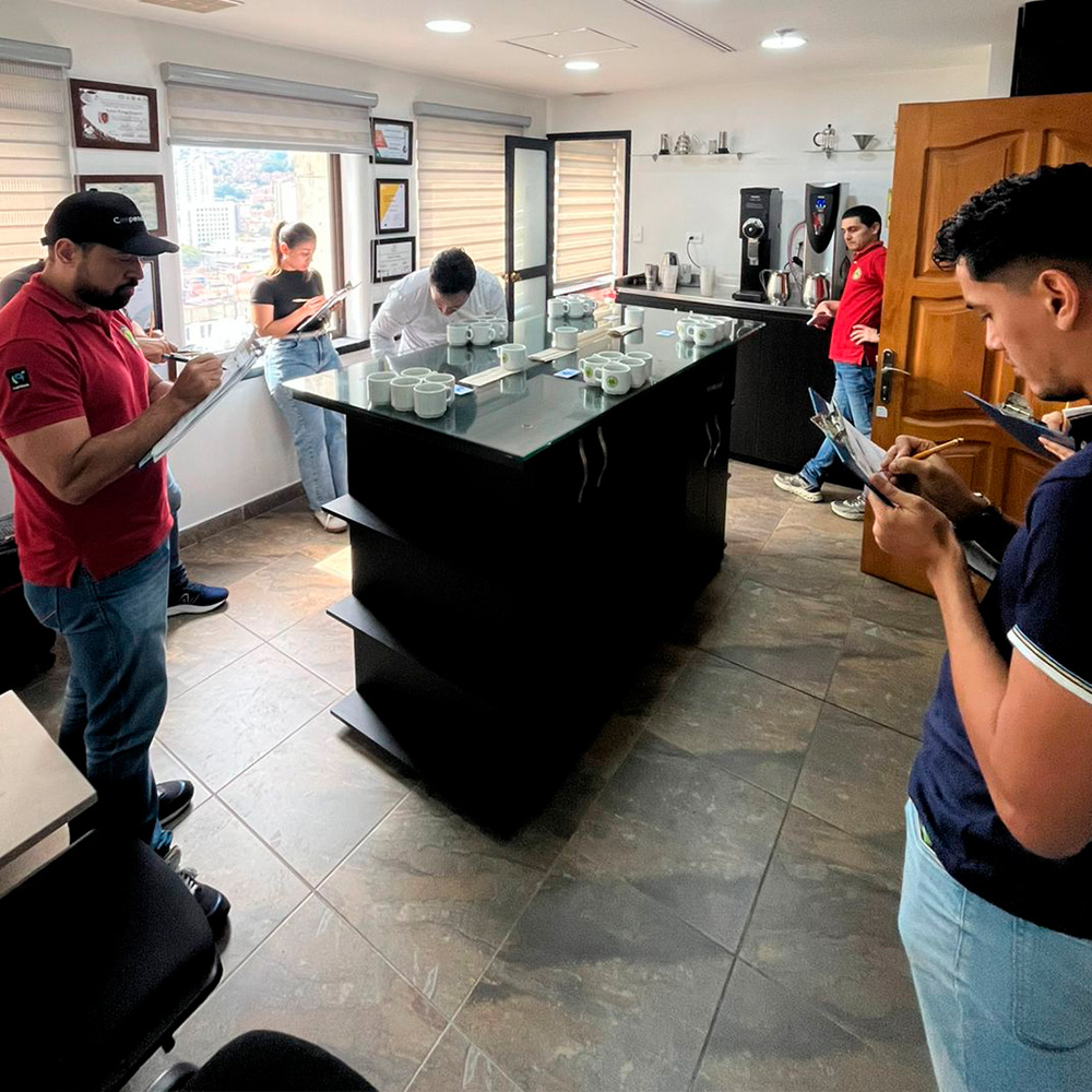 Mesa de trabajo 1 copia